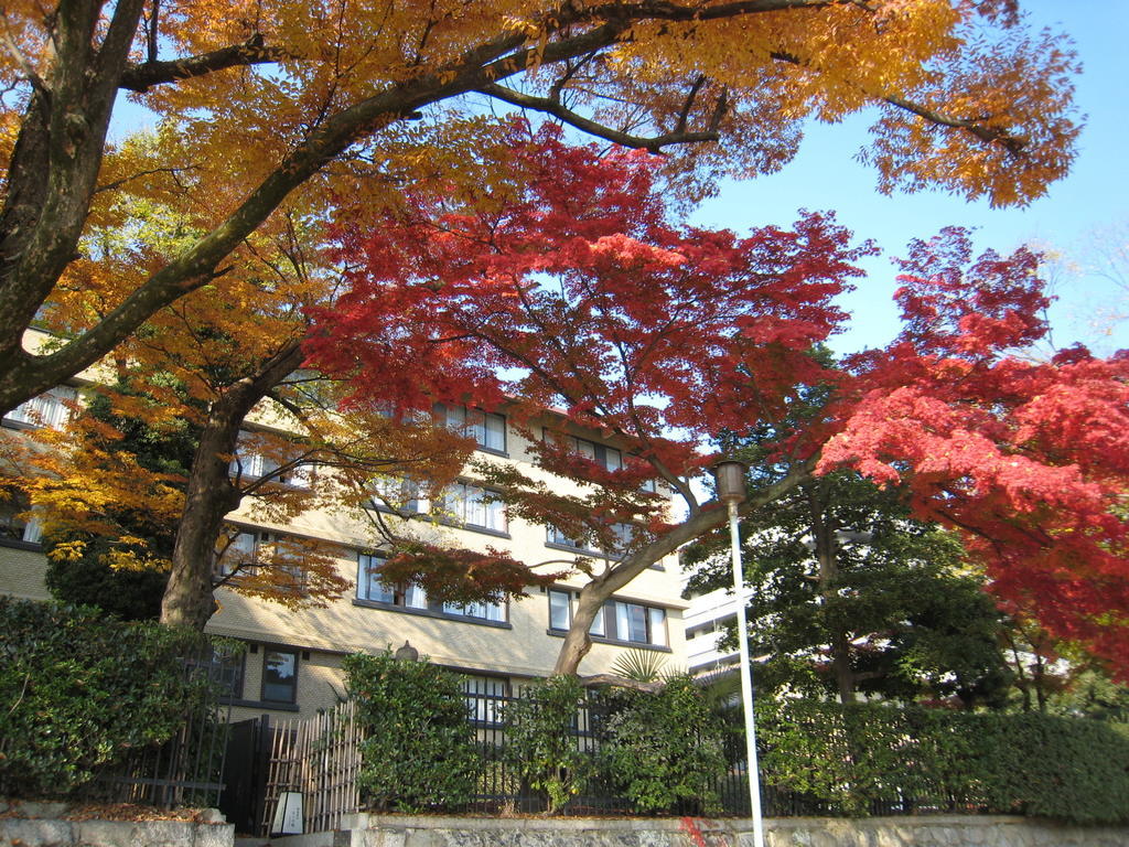 Kkr Kyoto Kuniso Hotel Buitenkant foto